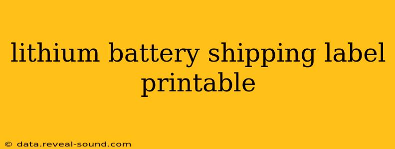 lithium battery shipping label printable