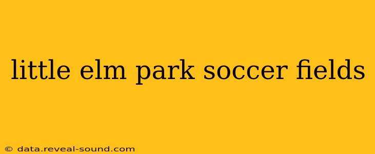 little elm park soccer fields
