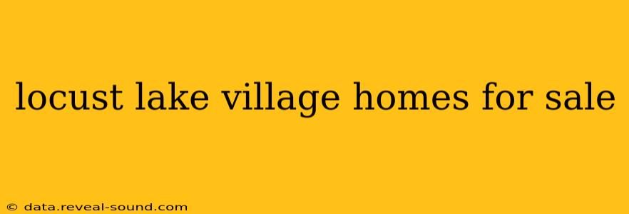 locust lake village homes for sale