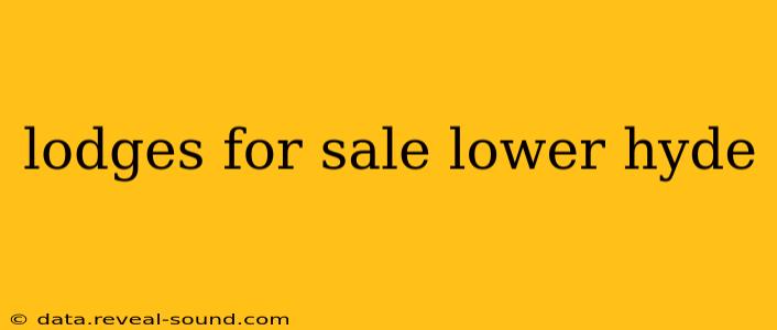 lodges for sale lower hyde