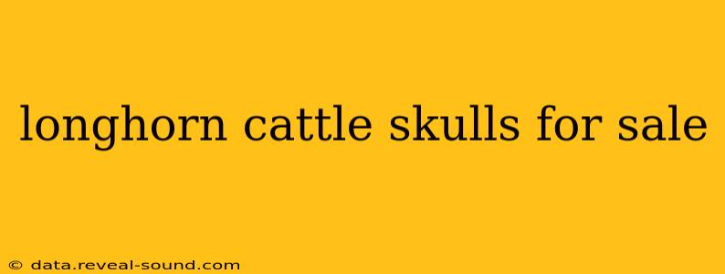 longhorn cattle skulls for sale