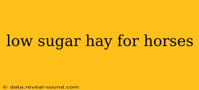 low sugar hay for horses