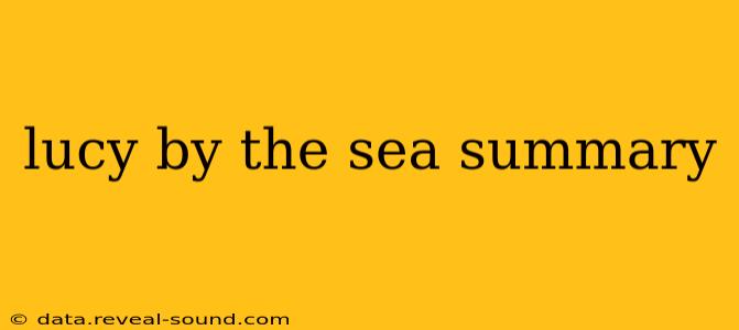 lucy by the sea summary