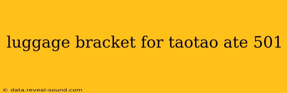 luggage bracket for taotao ate 501