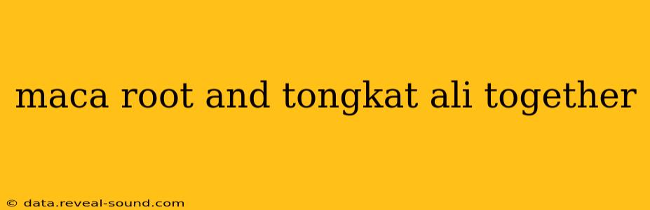 maca root and tongkat ali together