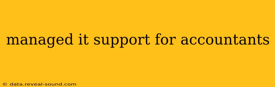 managed it support for accountants
