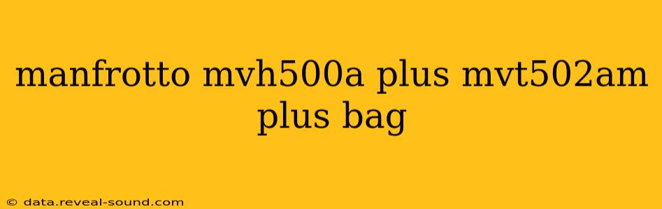 manfrotto mvh500a plus mvt502am plus bag