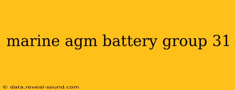 marine agm battery group 31