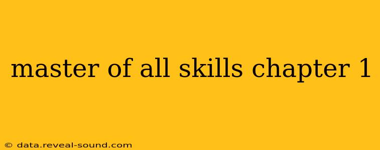 master of all skills chapter 1