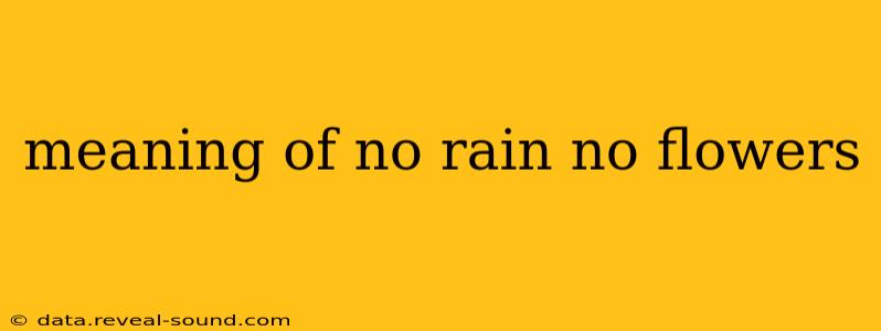 meaning of no rain no flowers