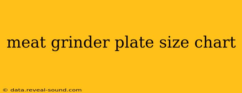 meat grinder plate size chart