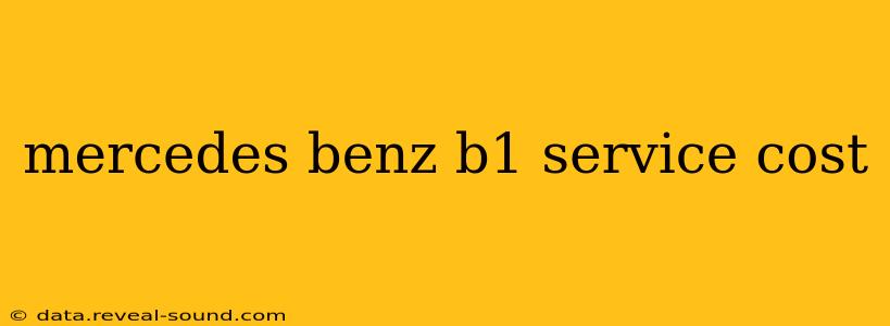 mercedes benz b1 service cost