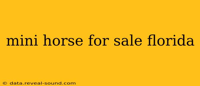 mini horse for sale florida