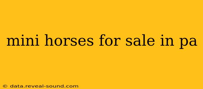 mini horses for sale in pa
