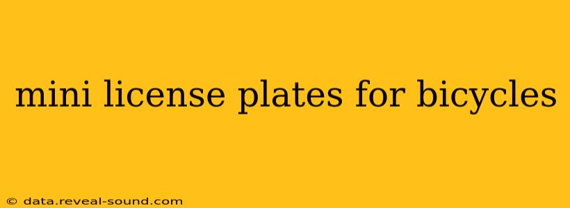 mini license plates for bicycles