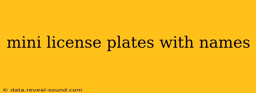 mini license plates with names
