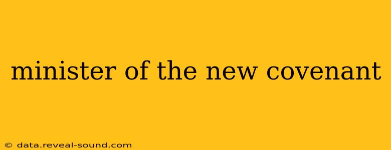 minister of the new covenant