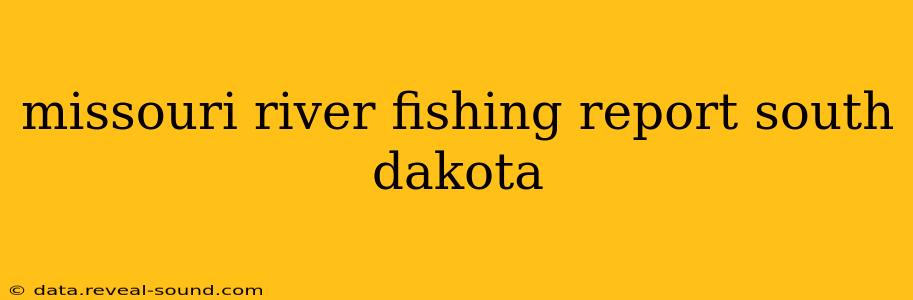missouri river fishing report south dakota