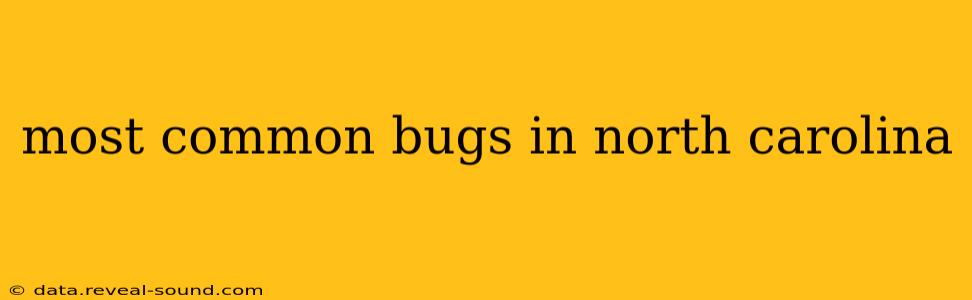 most common bugs in north carolina