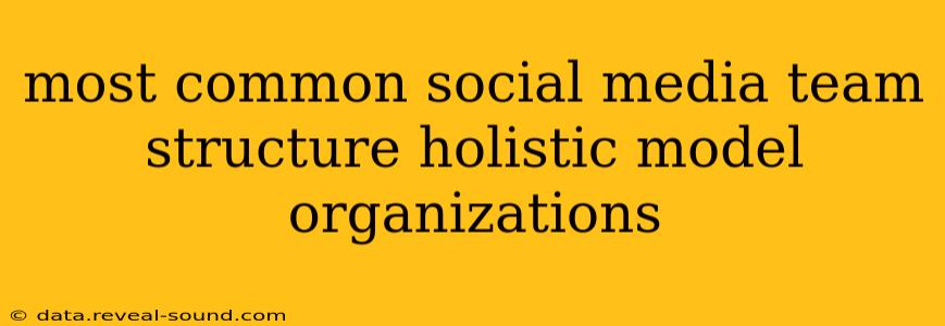 most common social media team structure holistic model organizations
