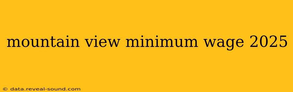 mountain view minimum wage 2025