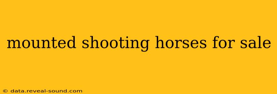 mounted shooting horses for sale