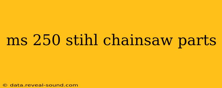 ms 250 stihl chainsaw parts
