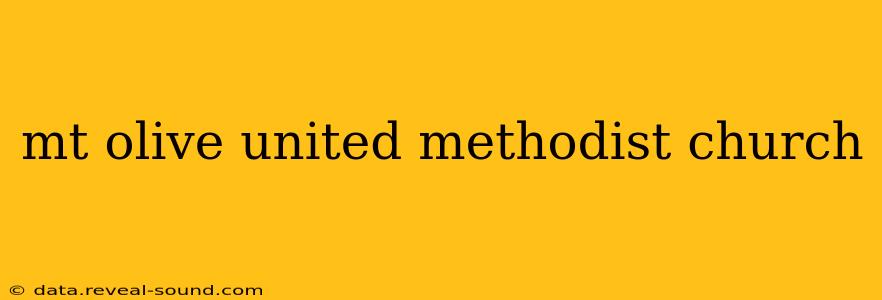 mt olive united methodist church