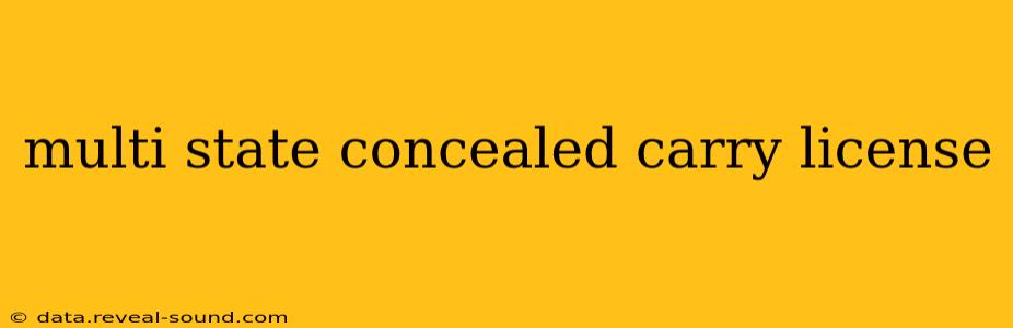 multi state concealed carry license