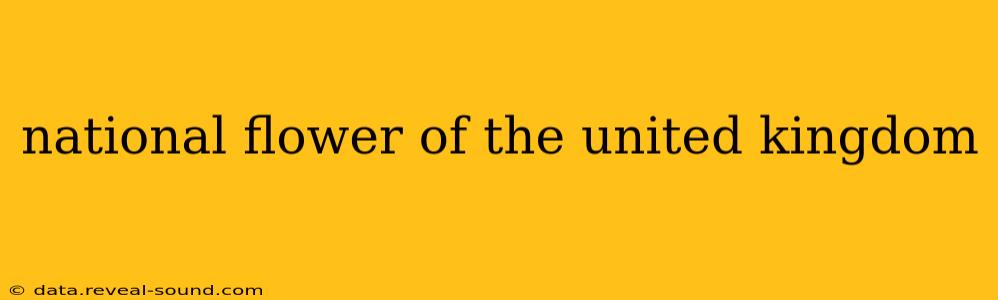 national flower of the united kingdom
