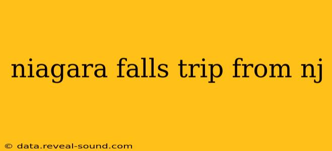 niagara falls trip from nj