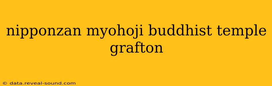 nipponzan myohoji buddhist temple grafton