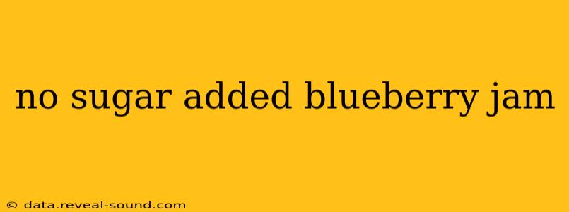 no sugar added blueberry jam