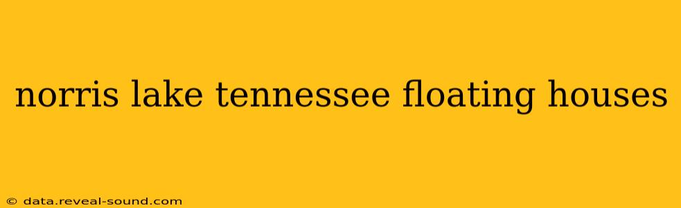 norris lake tennessee floating houses