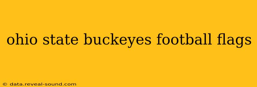 ohio state buckeyes football flags