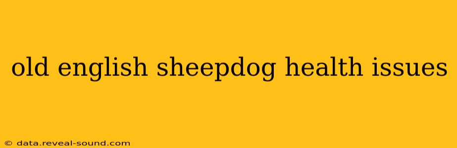 old english sheepdog health issues