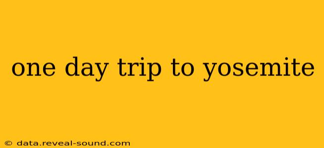 one day trip to yosemite