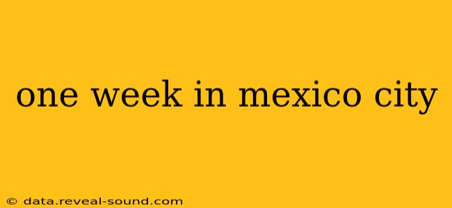 one week in mexico city