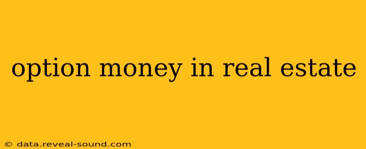 option money in real estate