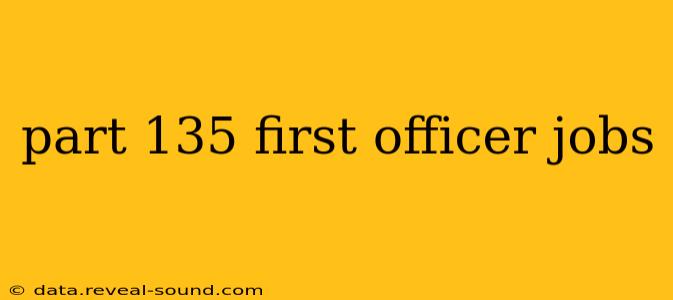 part 135 first officer jobs