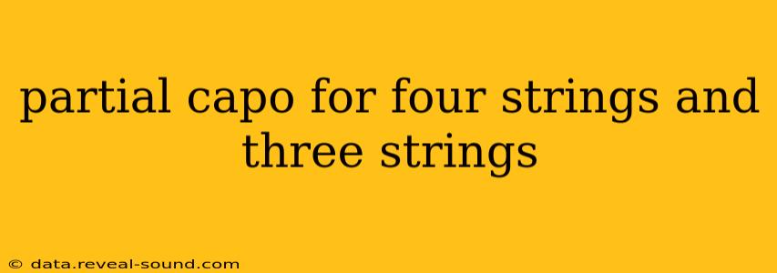 partial capo for four strings and three strings