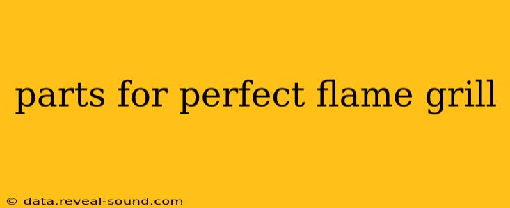 parts for perfect flame grill