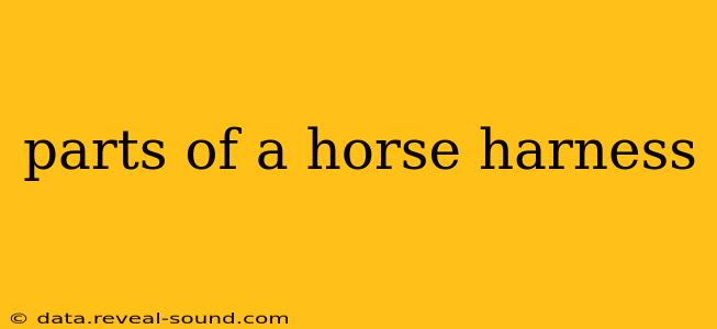 parts of a horse harness