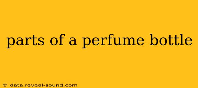 parts of a perfume bottle