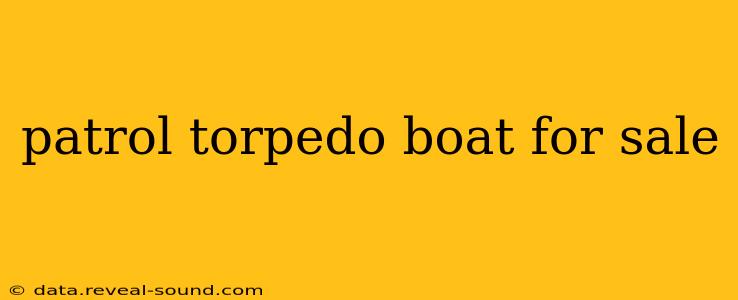 patrol torpedo boat for sale