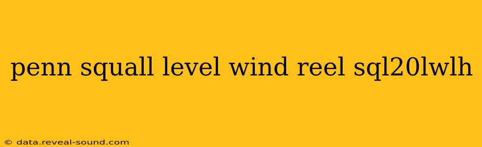 penn squall level wind reel sql20lwlh