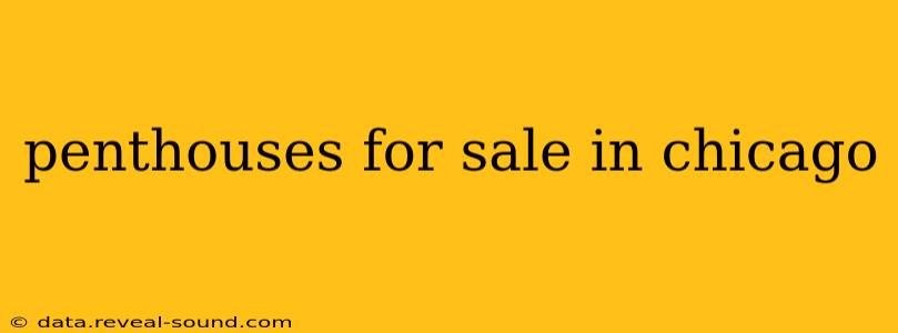 penthouses for sale in chicago