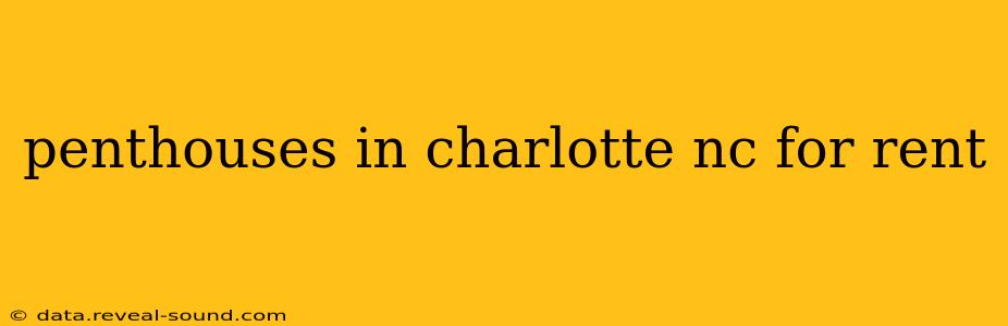 penthouses in charlotte nc for rent
