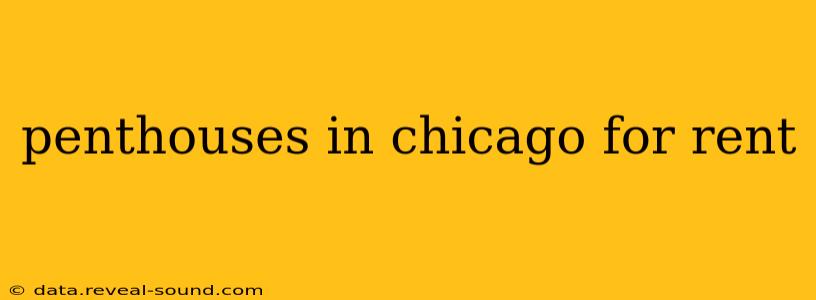 penthouses in chicago for rent