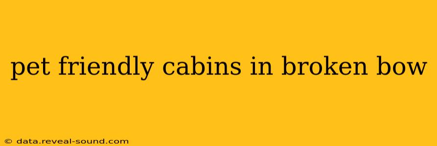 pet friendly cabins in broken bow